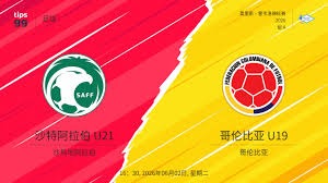 中超球员身价大幅下跌 热菲尼奥瓦吉奇成为焦点